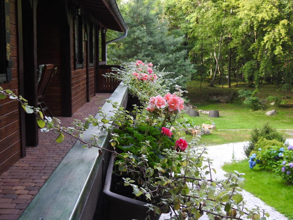 Za Siodma Gora Konuk evi Zachelmie  Dış mekan fotoğraf